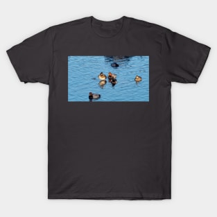 Redhead Ducks And A Ring-necked Duck Swimming T-Shirt